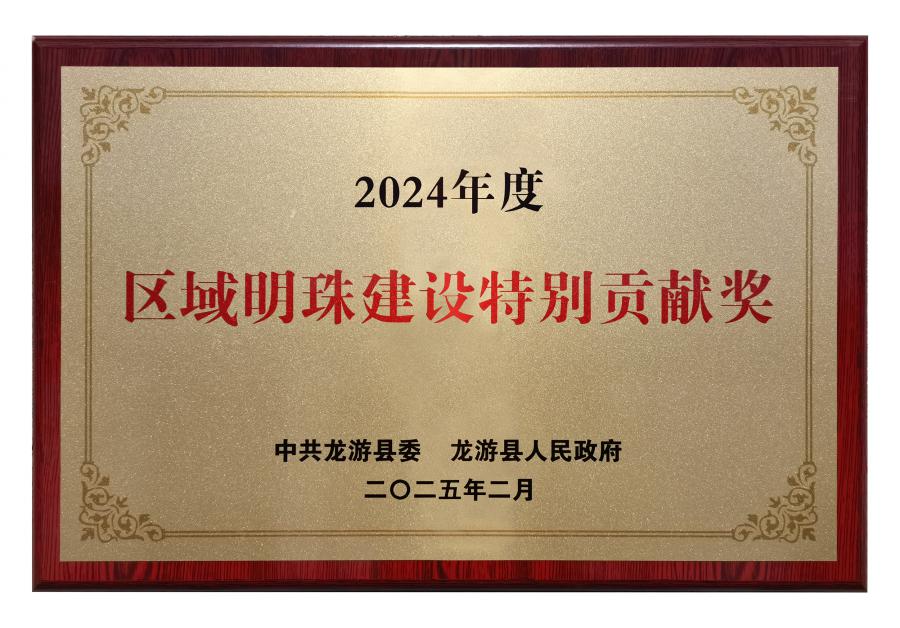 2024区域明珠建设特别贡献奖.jpg